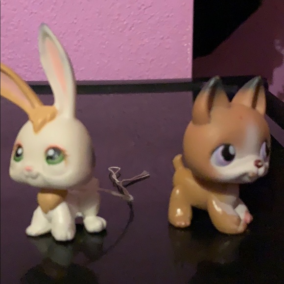 lps - Picture 2 of 7